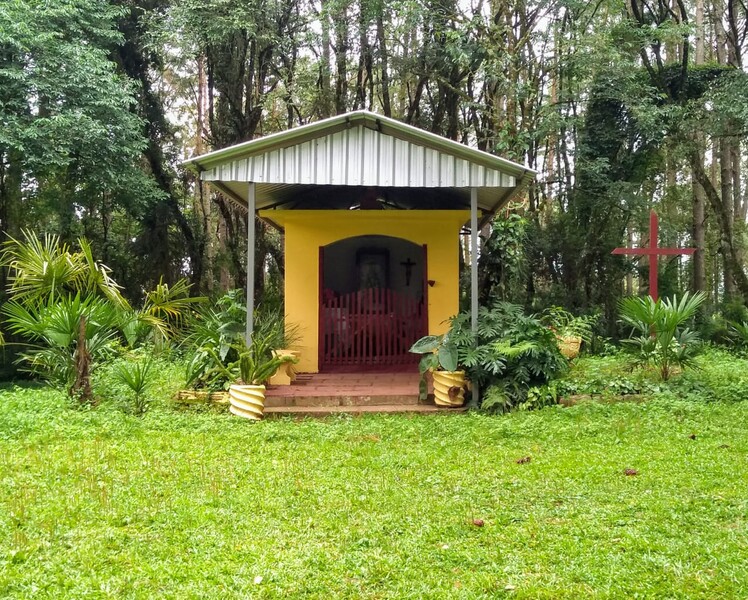 bosque 2.jpg