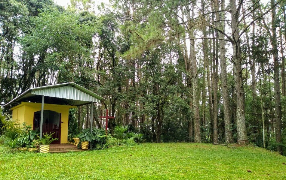 bosque 1.jpg